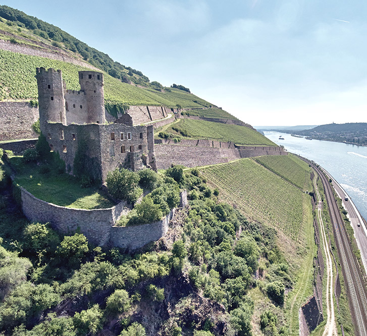 leitz weingut rheingau freigut frankfurt eventlocation frankfurt